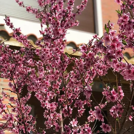 بيت ضيافة Casa Rural Alaejos Alaejos