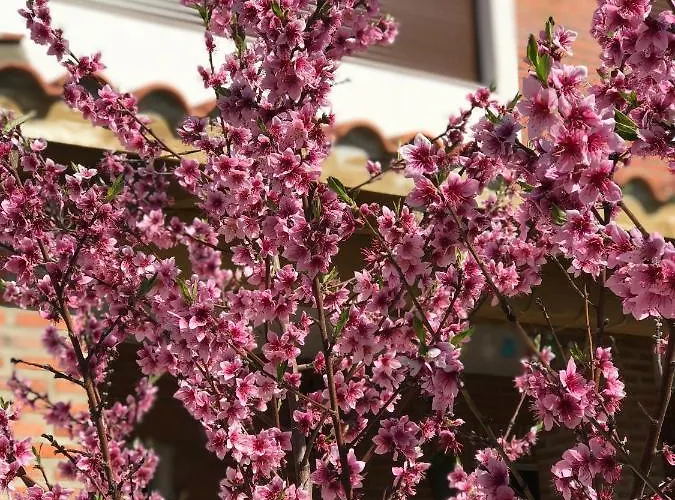 게스트하우스 Casa Rural Alaejos Alaejos